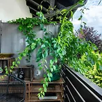 Appartement Schlossblick *